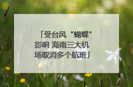 受台风“蝴蝶”影响 海南三大机场取消多个航班