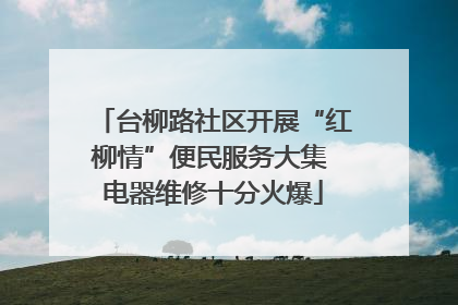 台柳路社区开展“红柳情”便民服务大集 电器维修十分火爆
