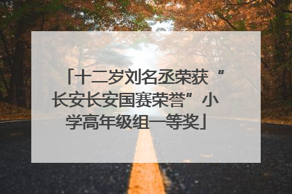 十二岁刘名丞荣获“长安长安国赛荣誉”小学高年级组一等奖
