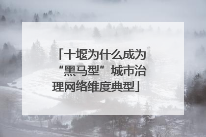 十堰为什么成为“黑马型”城市治理网络维度典型