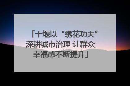 十堰以“绣花功夫”深耕城市治理 让群众幸福感不断提升