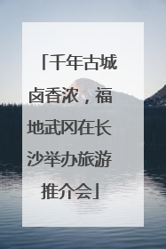 千年古城卤香浓，福地武冈在长沙举办旅游推介会