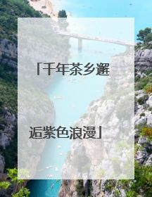 千年茶乡邂逅紫色浪漫