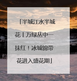 半城江水半城花丨万绿丛中一抹红！冰城锦带花进入盛花期