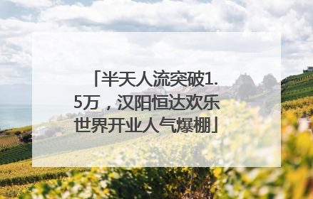 半天人流突破1.5万，汉阳恒达欢乐世界开业人气爆棚