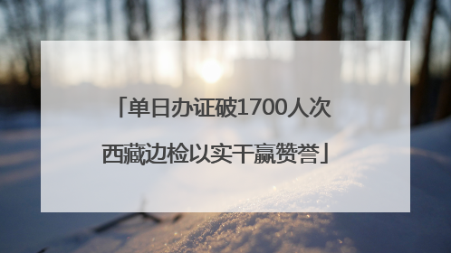 单日办证破1700人次 西藏边检以实干赢赞誉