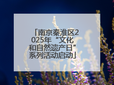 南京秦淮区2025年“文化和自然遗产日”系列活动启动