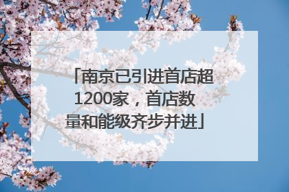 南京已引进首店超1200家，首店数量和能级齐步并进