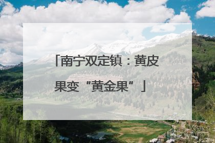 南宁双定镇：黄皮果变“黄金果”