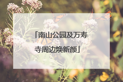南山公园及万寿寺周边焕新颜