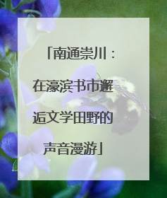 南通崇川：在濠滨书市邂逅文学田野的声音漫游