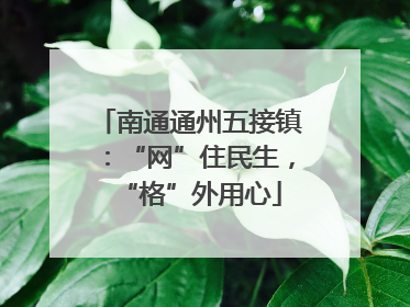 南通通州五接镇：“网”住民生，“格”外用心