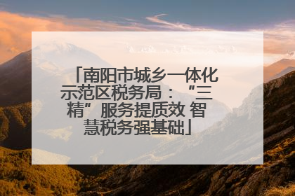 南阳市城乡一体化示范区税务局：“三精”服务提质效 智慧税务强基础