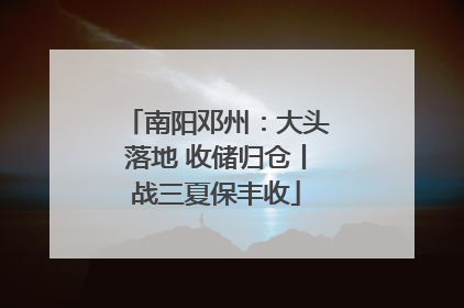 南阳邓州：大头落地 收储归仓丨战三夏保丰收
