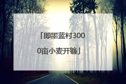 即墨蓝村3000亩小麦开镰