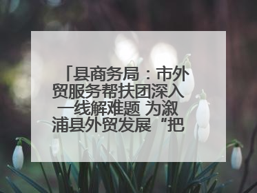 县商务局：市外贸服务帮扶团深入一线解难题 为溆浦县外贸发展“把脉问诊”