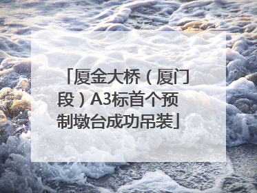 厦金大桥（厦门段）A3标首个预制墩台成功吊装