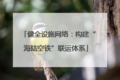 健全设施网络：构建“海陆空铁”联运体系