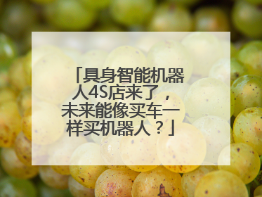 具身智能机器人4S店来了，未来能像买车一样买机器人？