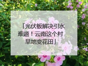 光伏板解决引水难题！云南这个村旱地变花田