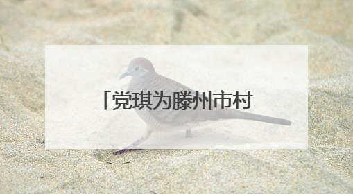 党琪为滕州市村（社区）干部能力素质提升培训班学员作专题讲座