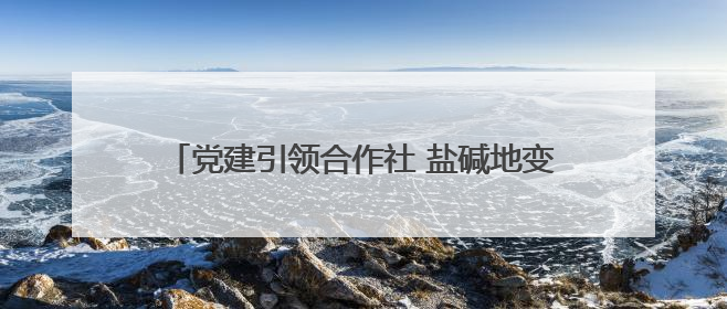 党建引领合作社 盐碱地变身“聚宝盆”——河涯村十年蝶变实现产业兴村群众富