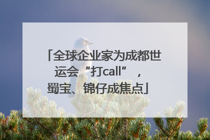 全球企业家为成都世运会“打call”，蜀宝、锦仔成焦点