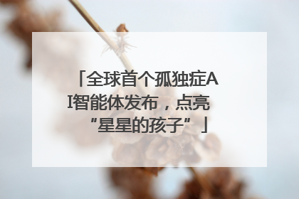 全球首个孤独症AI智能体发布，点亮“星星的孩子”