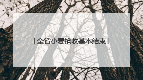 全省小麦抢收基本结束
