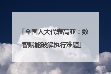 全国人大代表高亚：数智赋能破解执行难题