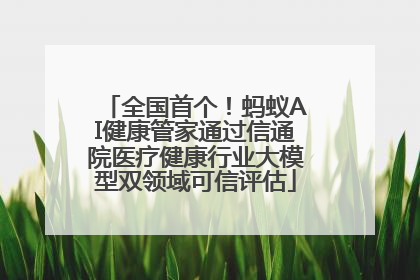 全国首个！蚂蚁AI健康管家通过信通院医疗健康行业大模型双领域可信评估