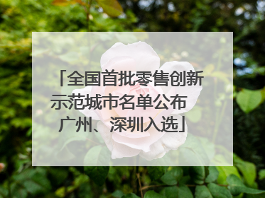 全国首批零售创新示范城市名单公布 广州、深圳入选