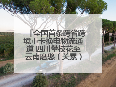 全国首条跨省跨境重卡换电物流通道 四川攀枝花至云南磨憨（关累）换电干线启动