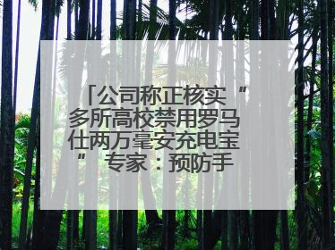 公司称正核实“多所高校禁用罗马仕两万毫安充电宝” 专家：预防手机没电选中等体积产品即可