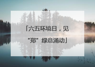 六五环境日，见“郑”绿意涌动