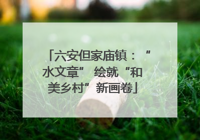 六安但家庙镇：“水文章” 绘就“和美乡村”新画卷