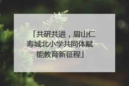 共研共进，眉山仁寿城北小学共同体赋能教育新征程