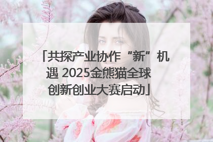 共探产业协作“新”机遇 2025金熊猫全球创新创业大赛启动