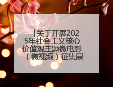 关于开展2025年社会主义核心价值观主题微电影（微视频）征集展示活动的公告