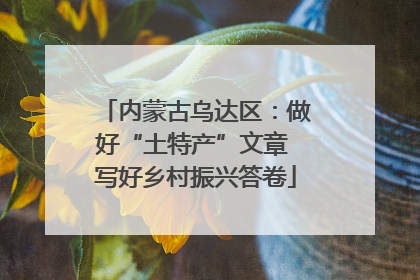 内蒙古乌达区：做好“土特产”文章 写好乡村振兴答卷
