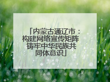 内蒙古通辽市：构建网络宣传矩阵 铸牢中华民族共同体意识
