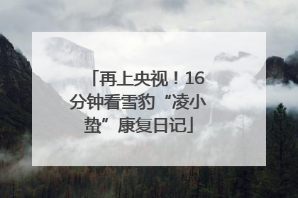 再上央视！16分钟看雪豹“凌小蛰”康复日记