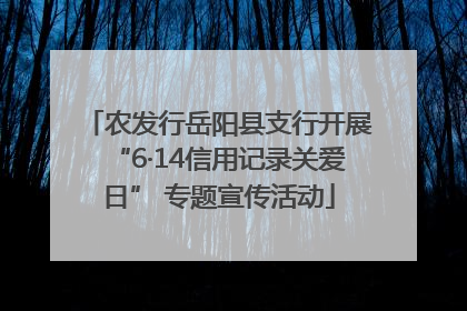 农发行岳阳县支行开展“6·14信用记录关爱日” 专题宣传活动