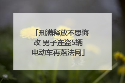 刑满释放不思悔改 男子连盗5辆电动车再落法网