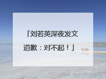 刘若英深夜发文道歉：对不起！