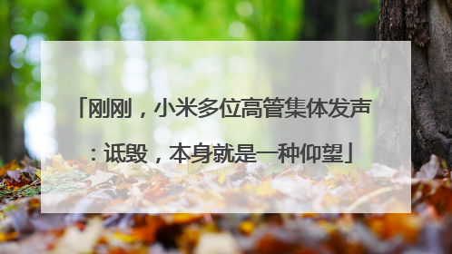 刚刚，小米多位高管集体发声：诋毁，本身就是一种仰望