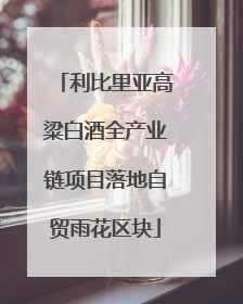 利比里亚高粱白酒全产业链项目落地自贸雨花区块