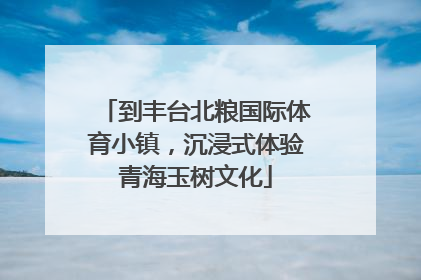 到丰台北粮国际体育小镇，沉浸式体验青海玉树文化