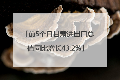 前5个月甘肃进出口总值同比增长43.2%