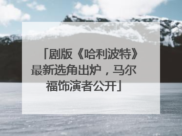 剧版《哈利波特》最新选角出炉，马尔福饰演者公开